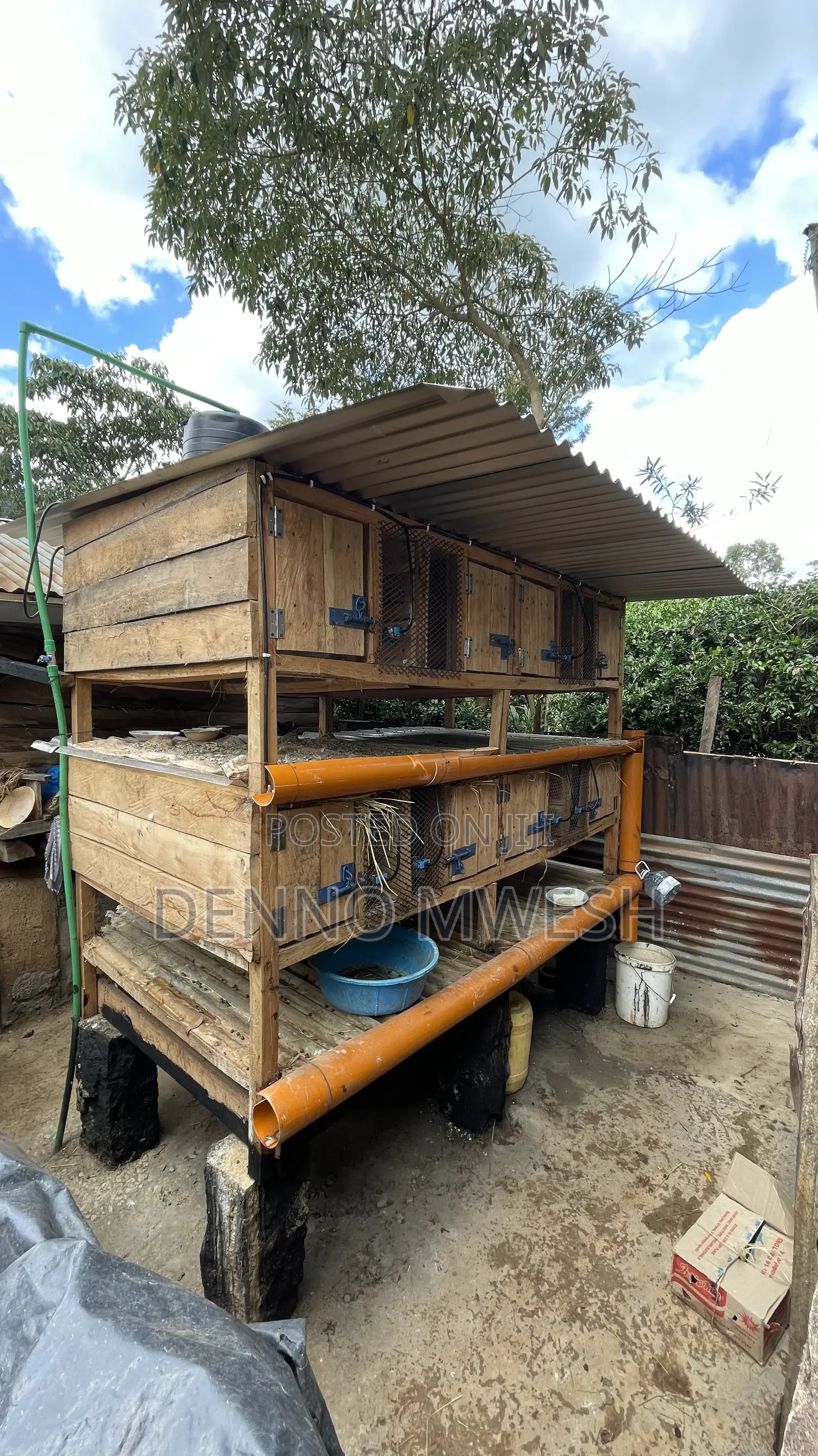 Rabbit Cage / House