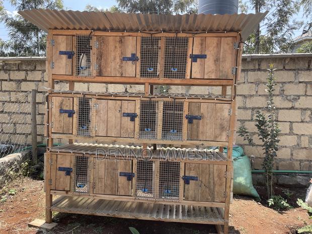 Rabbit Cage / House - thumbnail 16