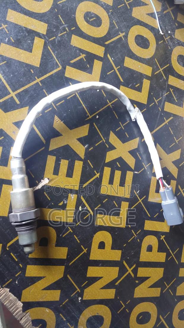 Oxygen Sensor - main view