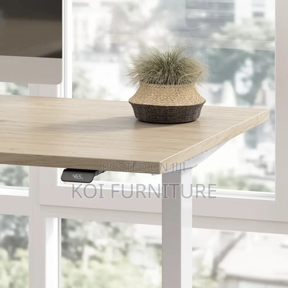 Offce Desk; 1.4m Move Series Electric Height Adjustable Standing Desk