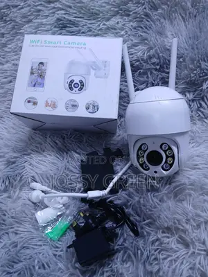 Icsee Outdoor/Indoor Wifi/Lan Survelliance Camera