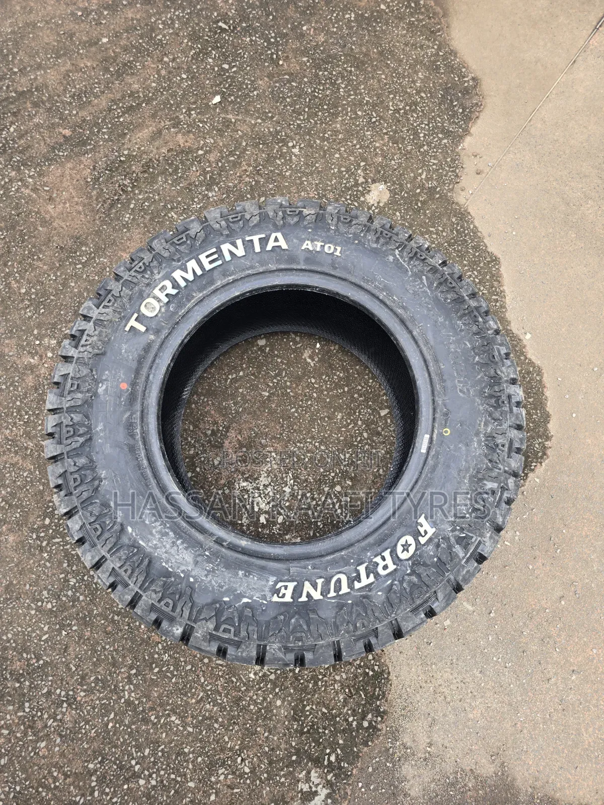 265/70r17 Fortune Tyre 10pr