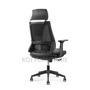 Office Chairs; Apocre Orthopedic Office Business Chair
