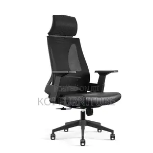 Office Chairs; Apocre Orthopedic Office Business Chair