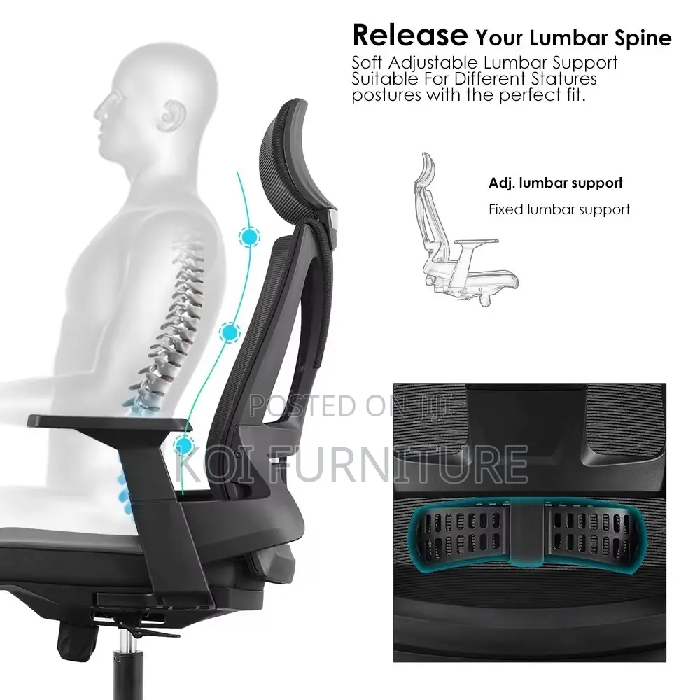 Office Chairs; Apocre Orthopedic Office Business Chair