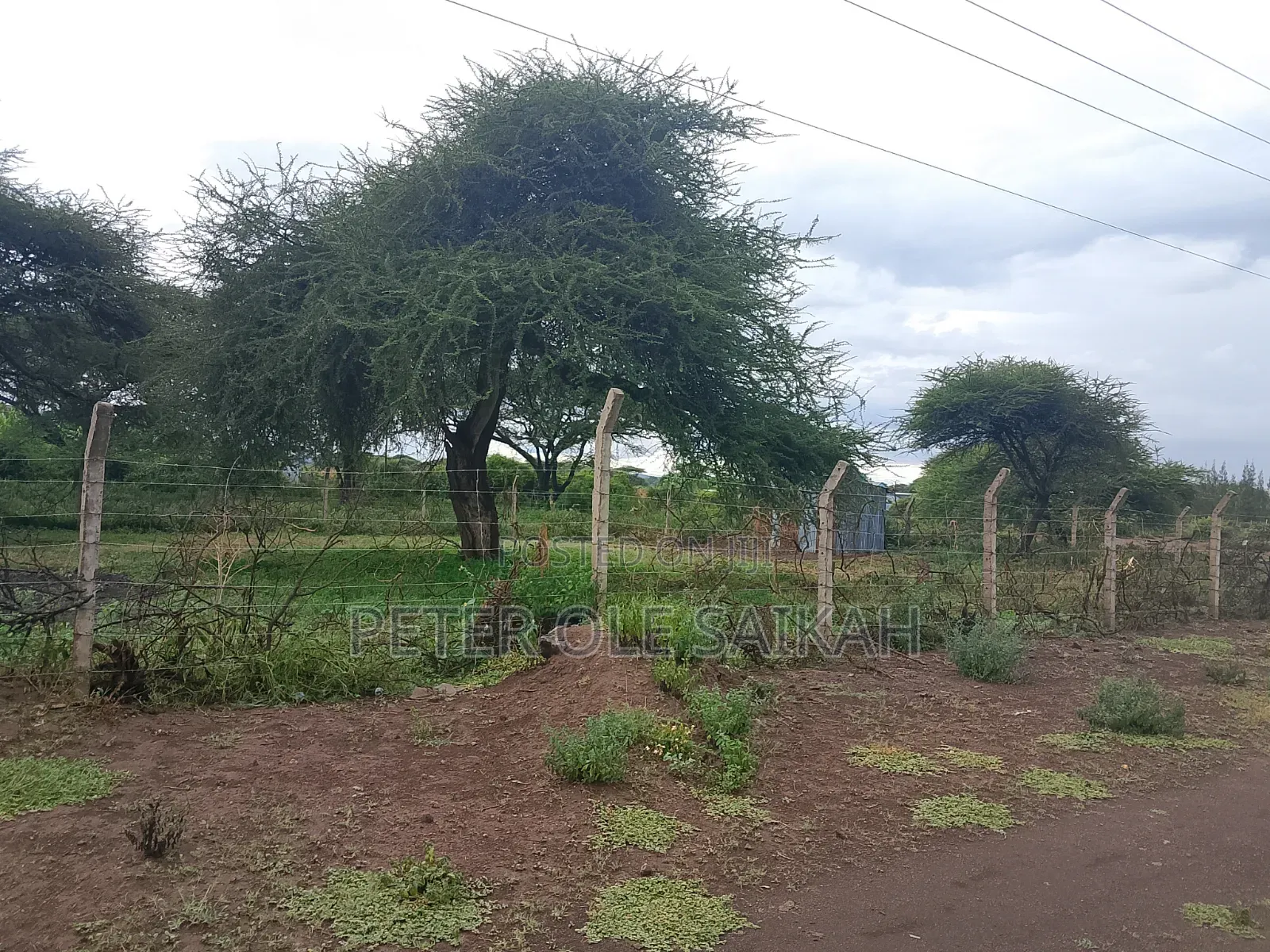 Kimana - Loitokitok Tarmac Plots for Sale