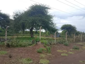 Kimana - Loitokitok Tarmac Plots for Sale