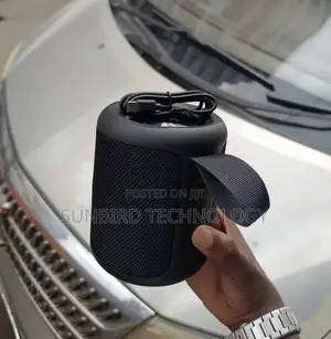 Caston St-H20 30w Wireless Speaker