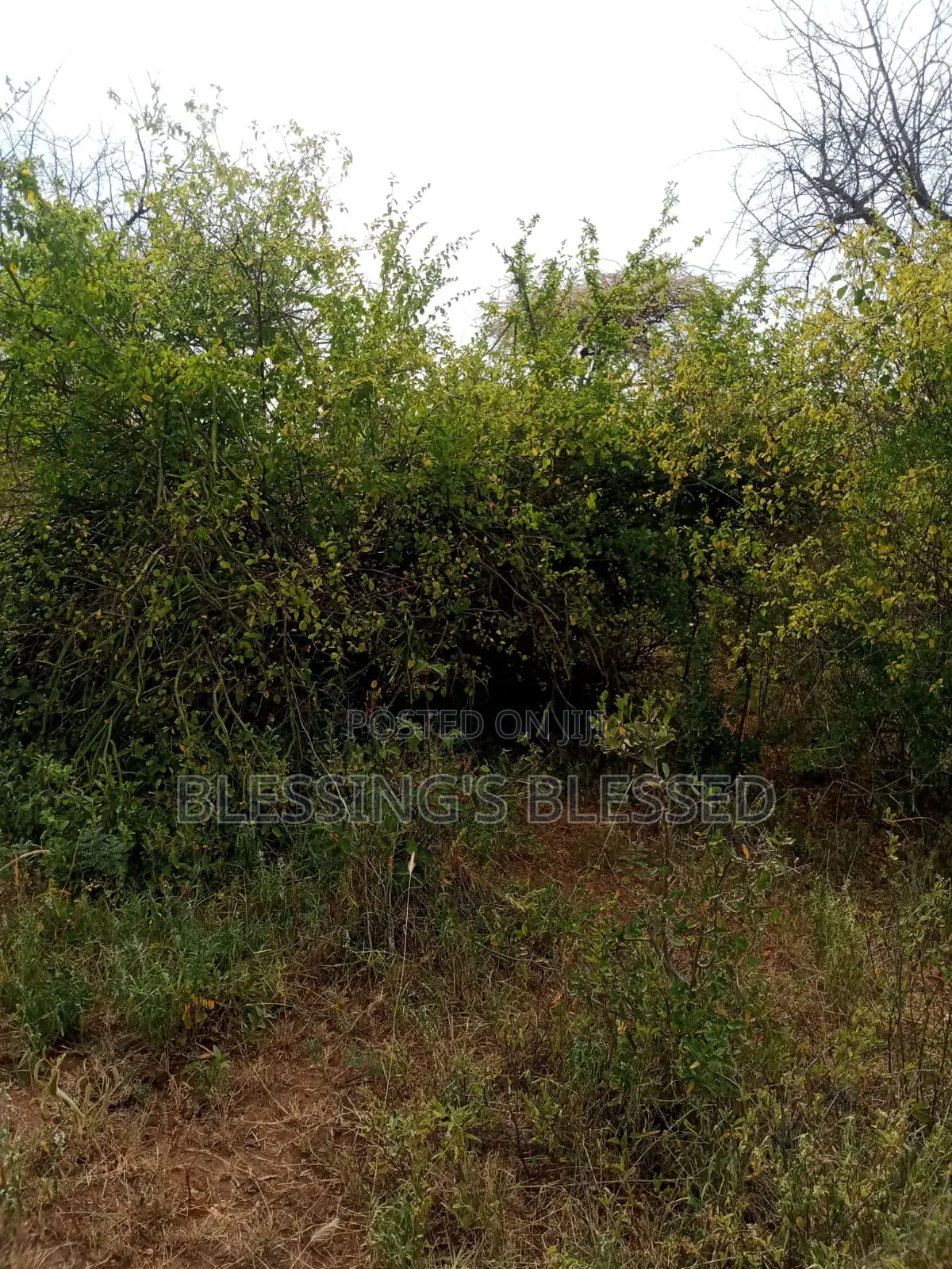 Kithyoko Land for Sale