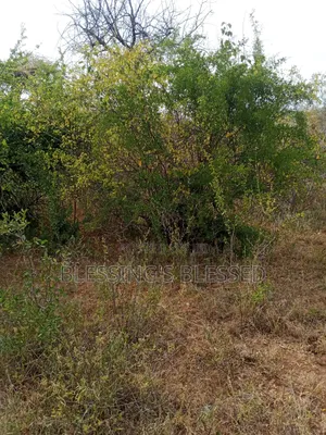 Kithyoko Land for Sale