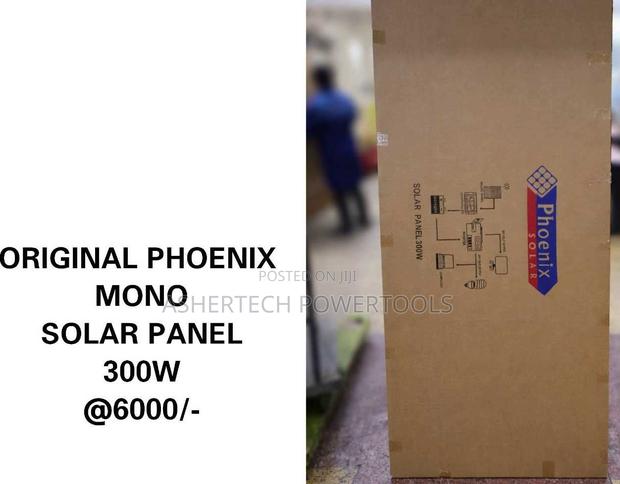 Phoenix Solar Panel 300w
