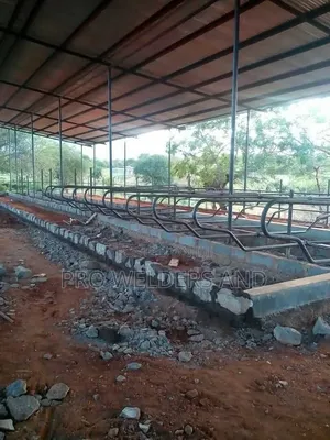 High-Quality Steel Dairy Cow Cubicles – Strong Long-Lasting