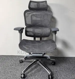 Office Chairs; Gabbrylre Executive Orthopedic Office Chairs