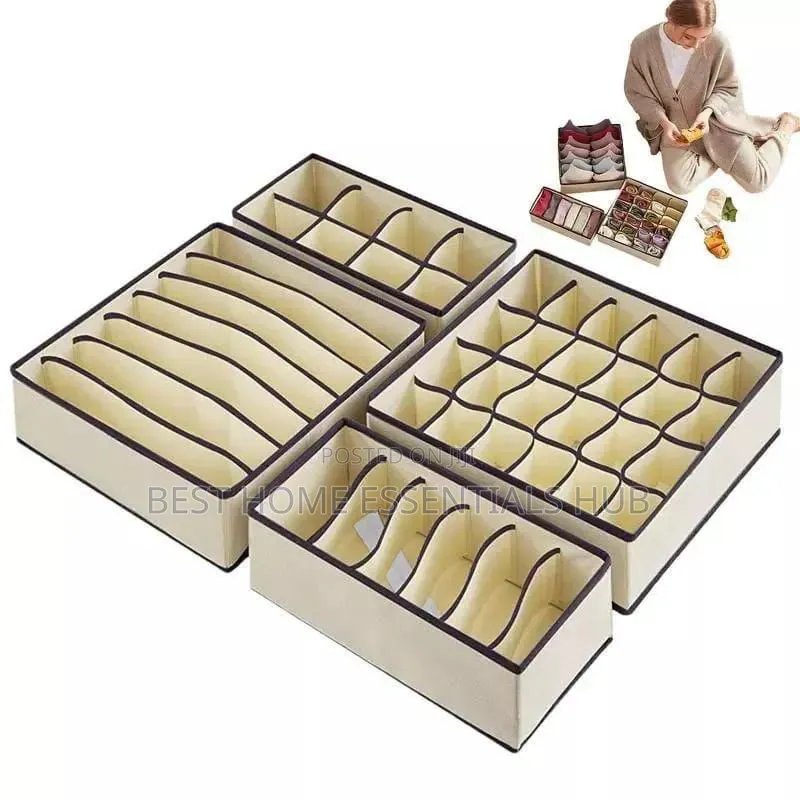 4 In 1 Undergarments Organizer