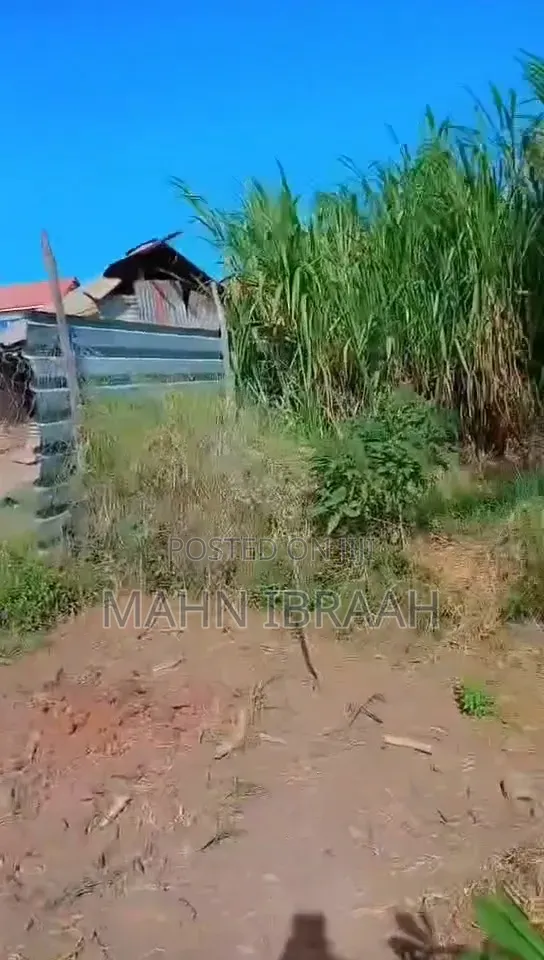 50 by 50 Ft Roadside Plot Bamburi Mwembelegeza