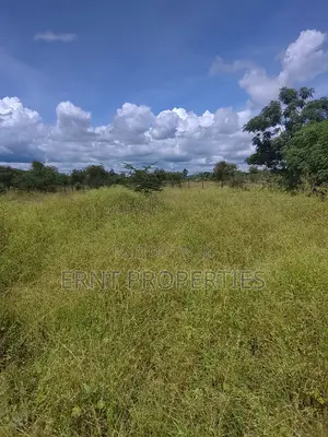 5.25 Acres for Sale in Maili Tisa. Quiet Living at KSH Per Acre