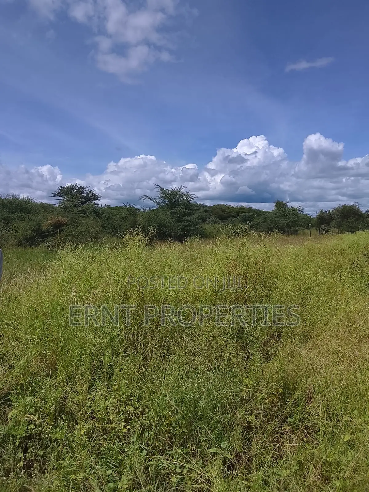 5.25 Acres for Sale in Maili Tisa. Quiet Living at KSH Per Acre