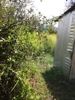 5.25 Acres for Sale in Maili Tisa. Quiet Living at KSH Per Acre