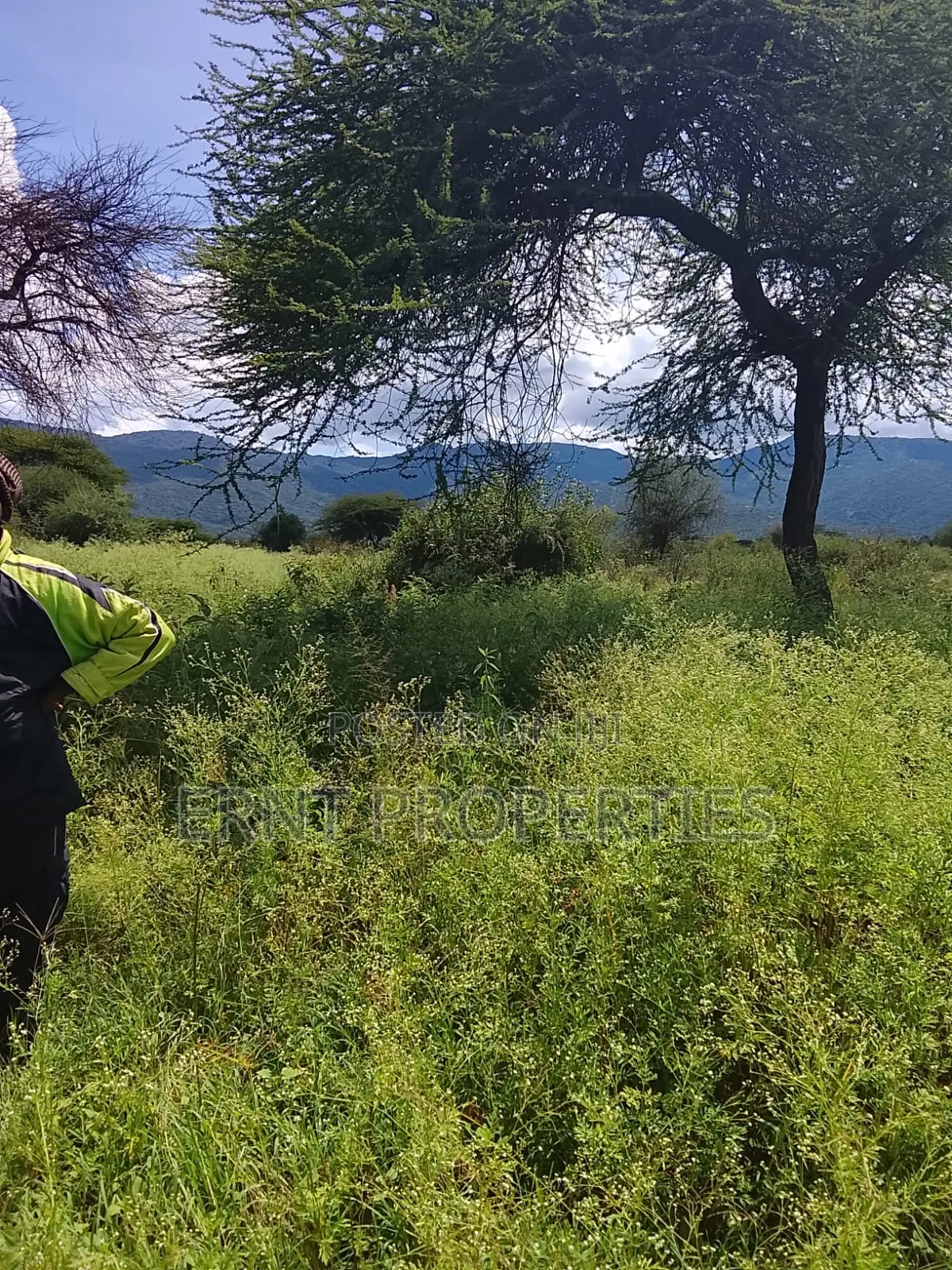 5.25 Acres for Sale in Maili Tisa. Quiet Living at KSH Per Acre