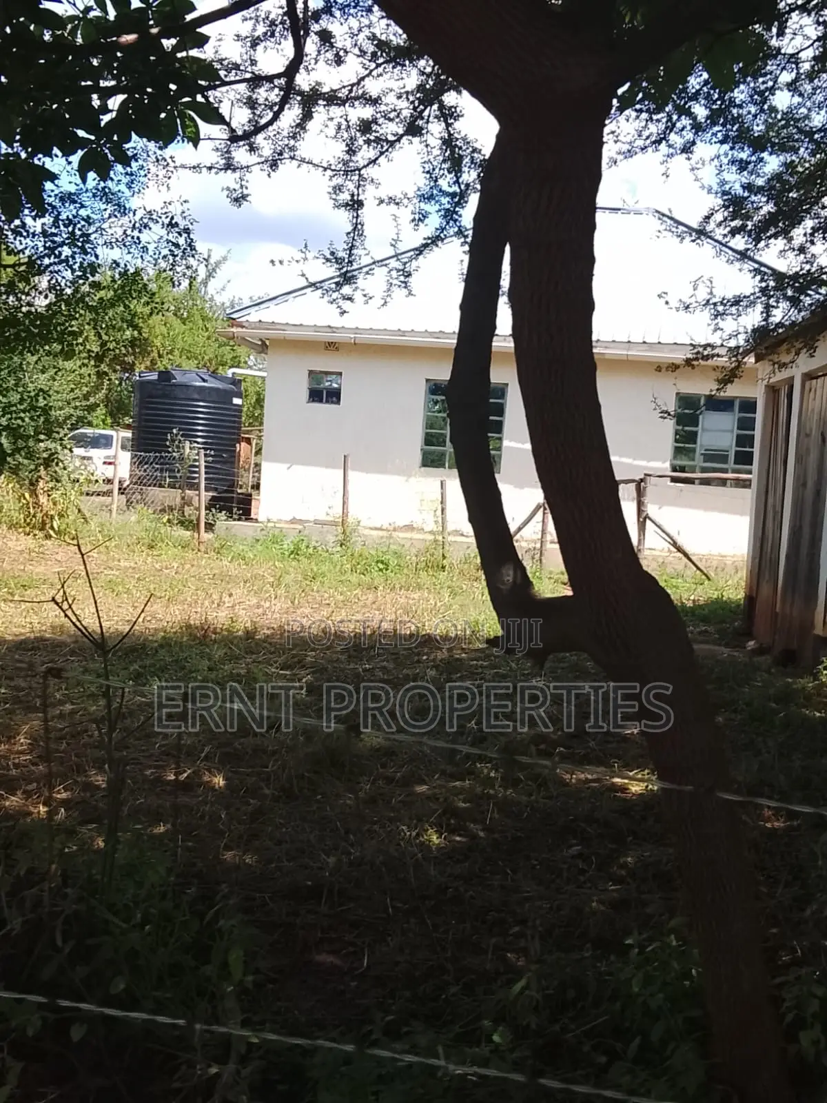 5.25 Acres for Sale in Maili Tisa. Quiet Living at KSH Per Acre