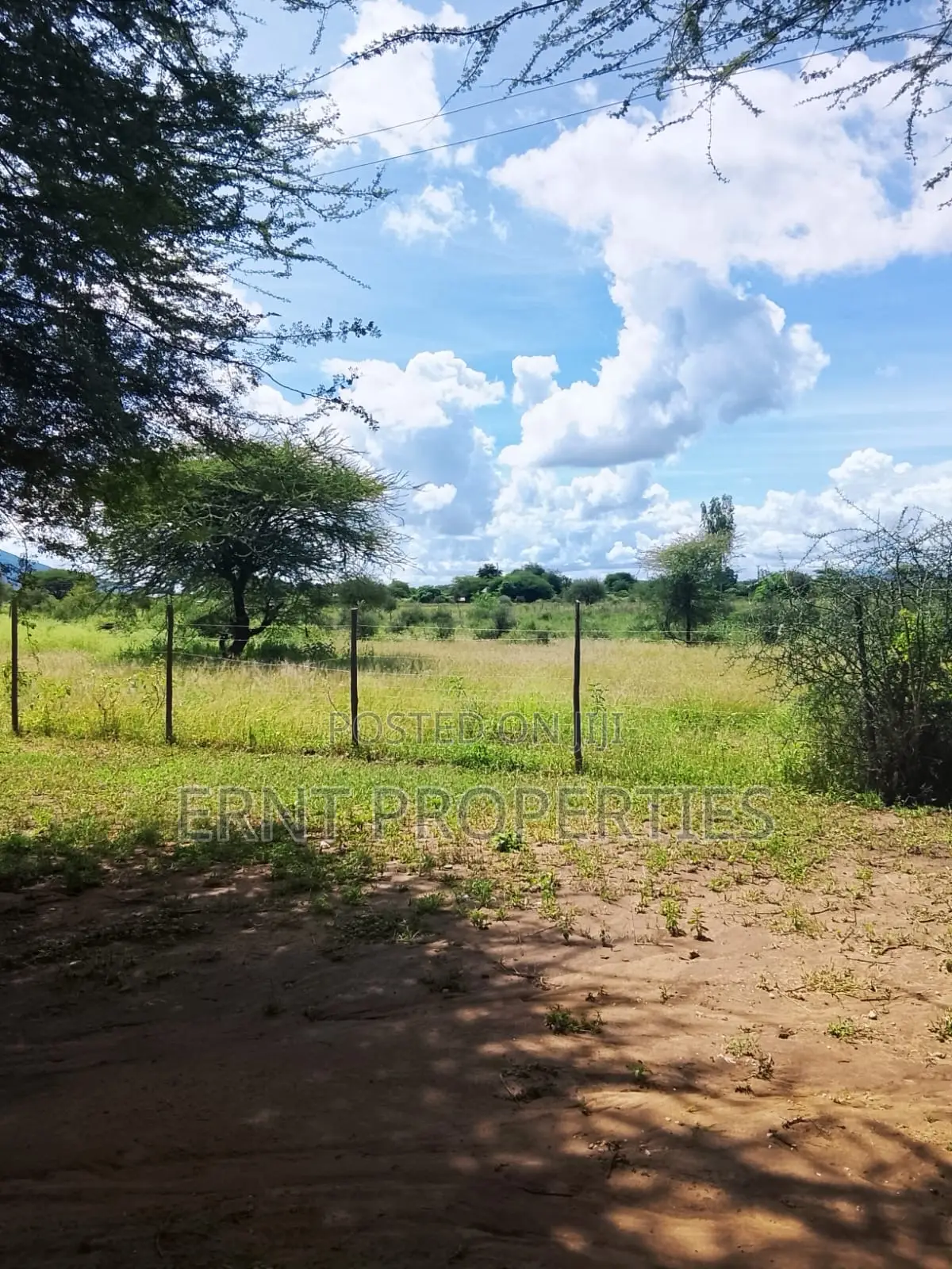 5.25 Acres for Sale in Maili Tisa. Quiet Living at KSH Per Acre