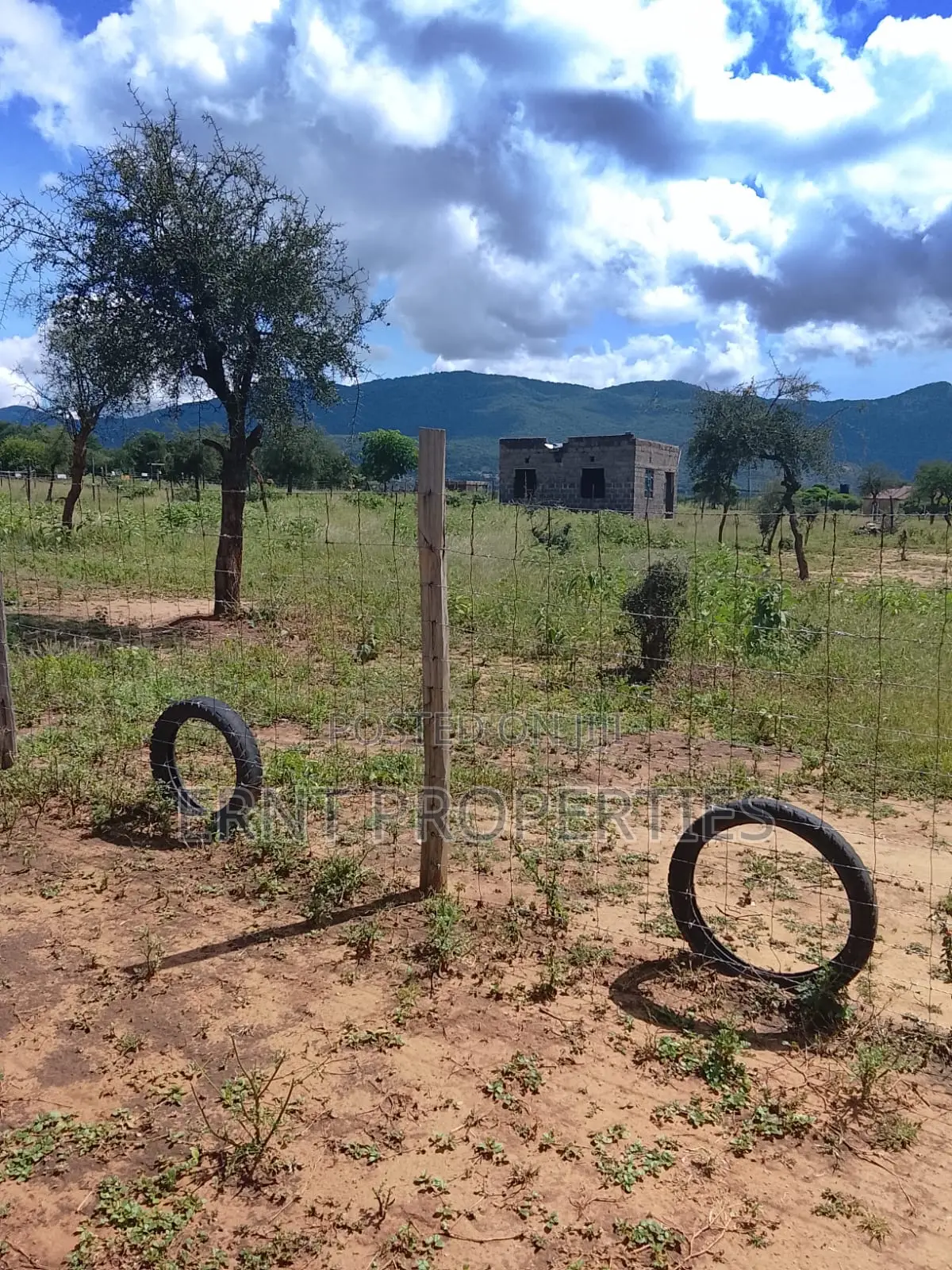 5.25 Acres for Sale in Maili Tisa. Quiet Living at KSH Per Acre