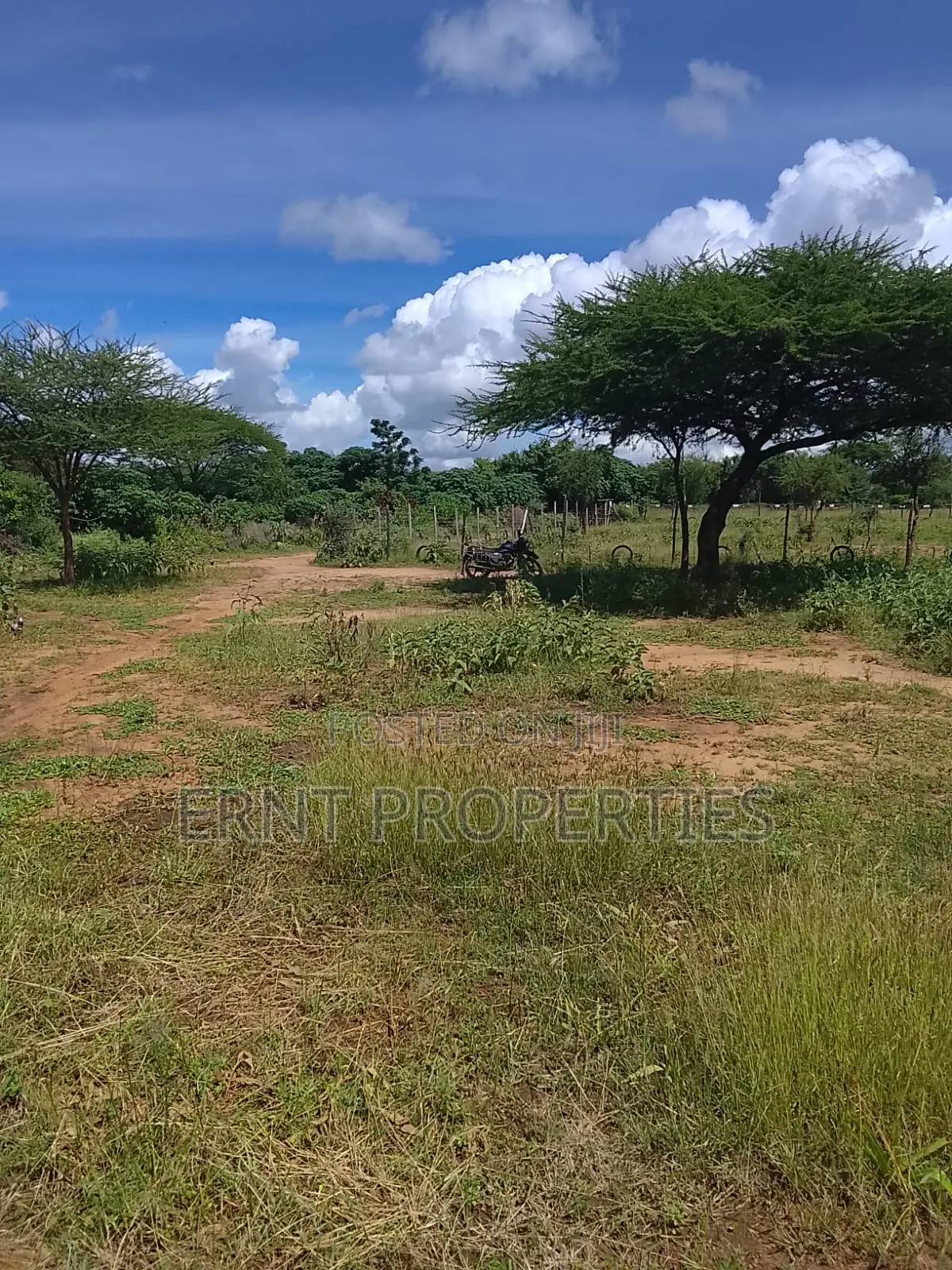 5.25 Acres for Sale in Maili Tisa. Quiet Living at KSH Per Acre