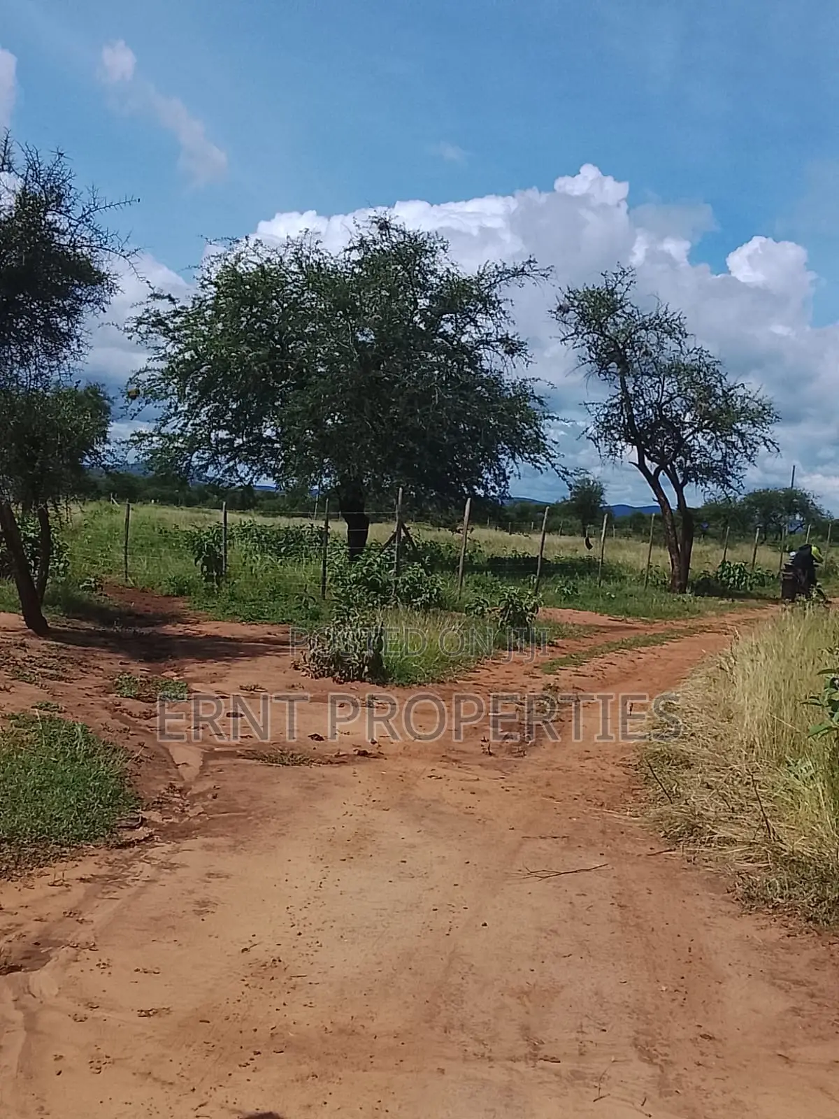 5.25 Acres for Sale in Maili Tisa. Quiet Living at KSH Per Acre