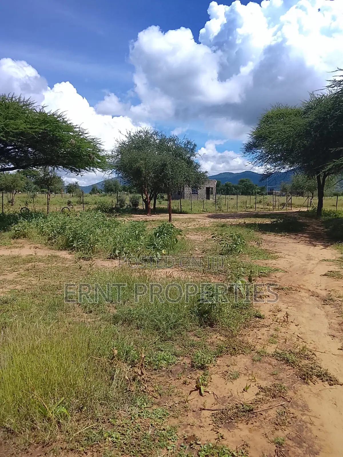 5.25 Acres for Sale in Maili Tisa. Quiet Living at KSH Per Acre