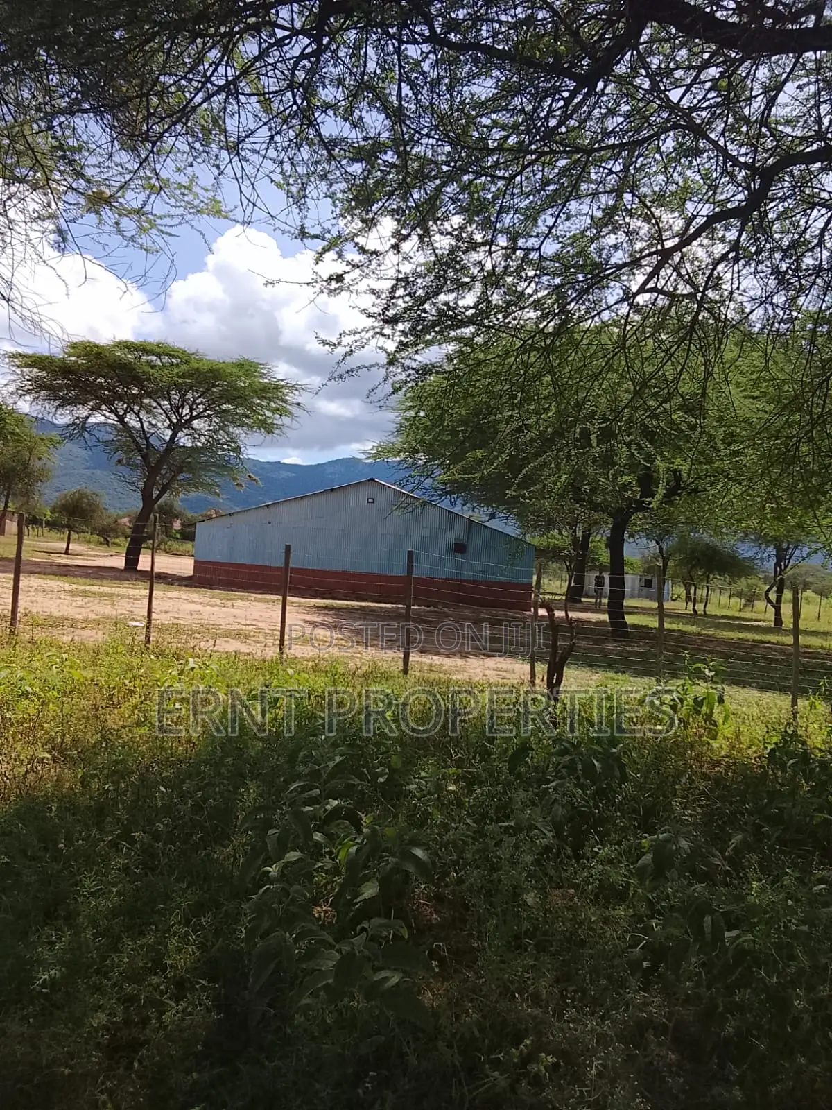 5.25 Acres for Sale in Maili Tisa. Quiet Living at KSH Per Acre