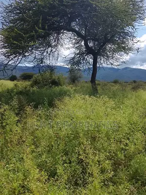 5.25 Acres for Sale in Maili Tisa. Quiet Living at KSH Per Acre
