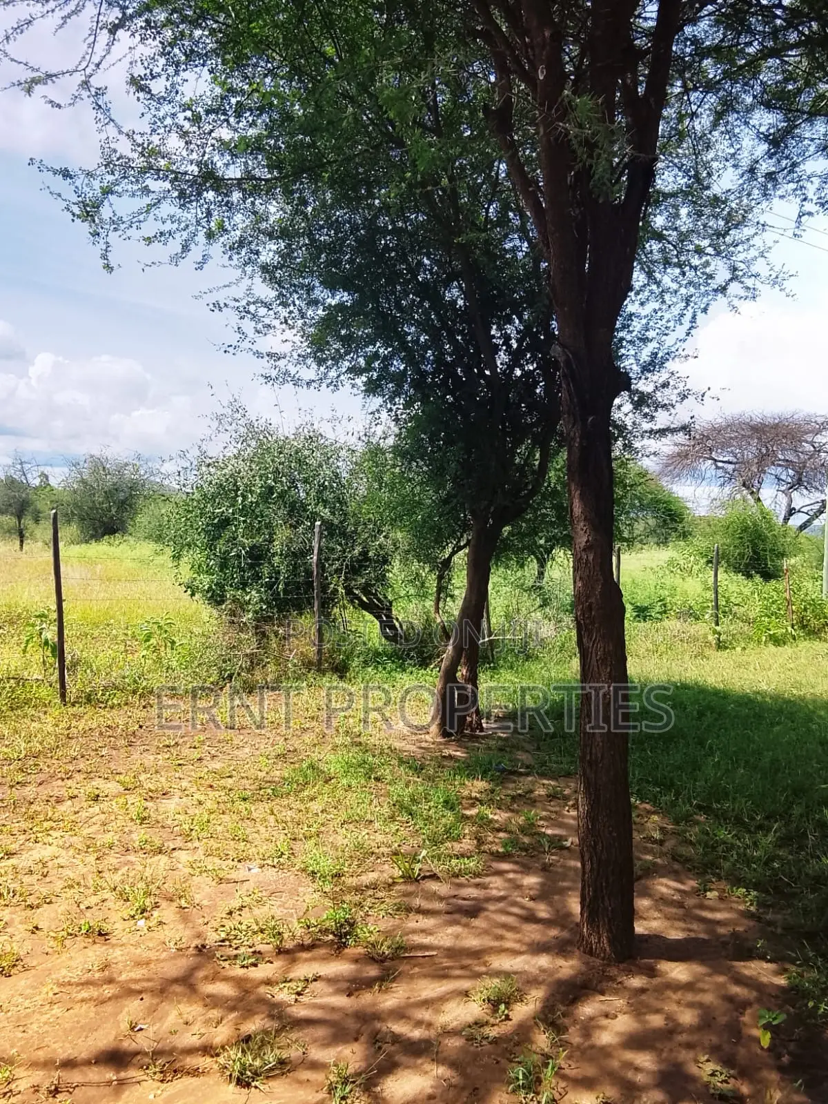 5.25 Acres for Sale in Maili Tisa. Quiet Living at KSH Per Acre