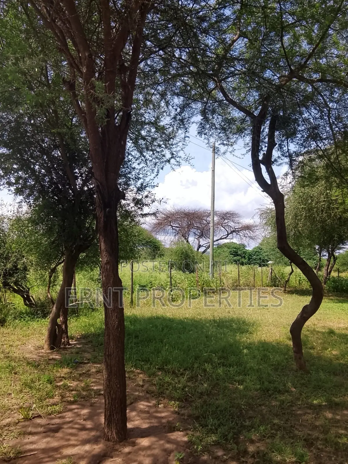 5.25 Acres for Sale in Maili Tisa. Quiet Living at KSH Per Acre