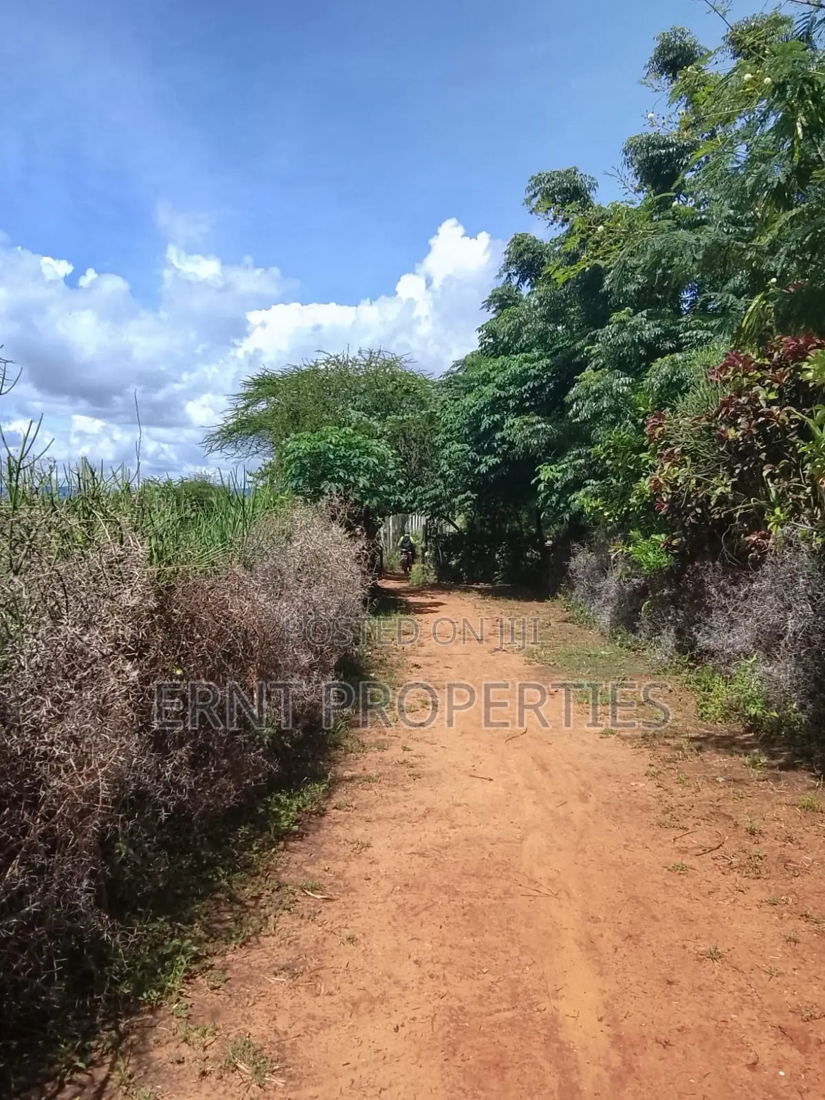 5.25 Acres for Sale in Maili Tisa. Quiet Living at KSH Per Acre