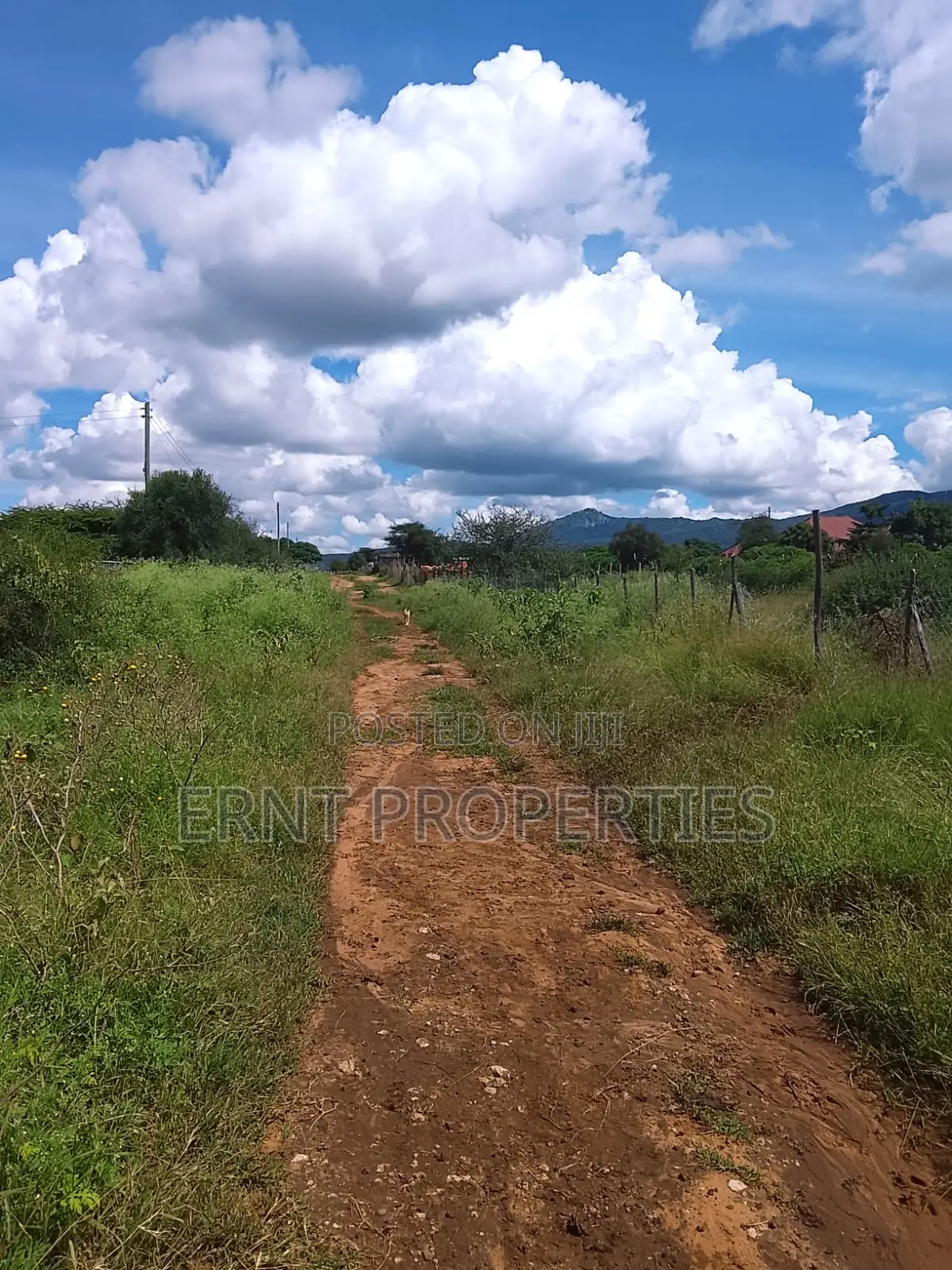 5.25 Acres for Sale in Maili Tisa. Quiet Living at KSH Per Acre