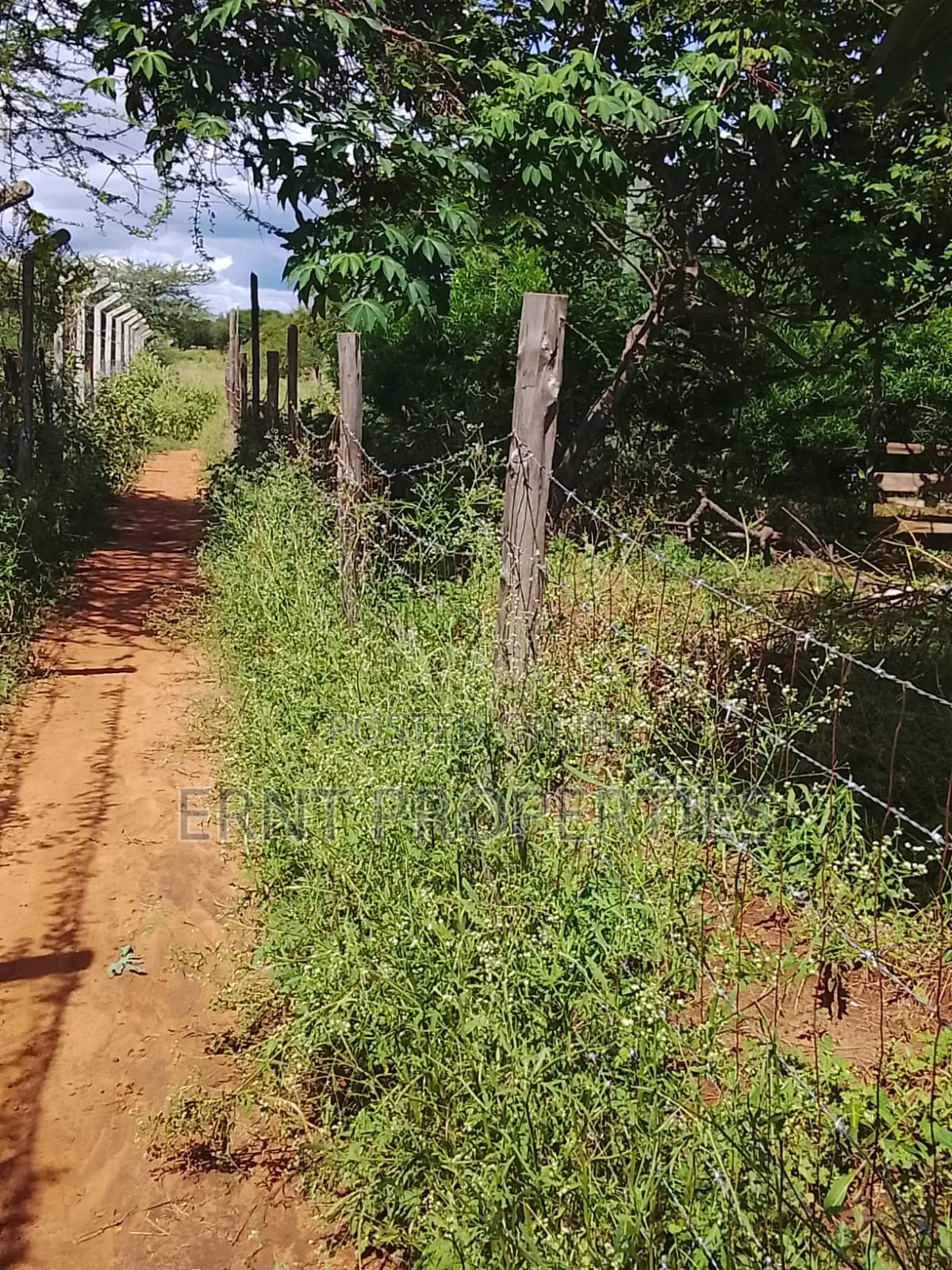 5.25 Acres for Sale in Maili Tisa. Quiet Living at KSH Per Acre