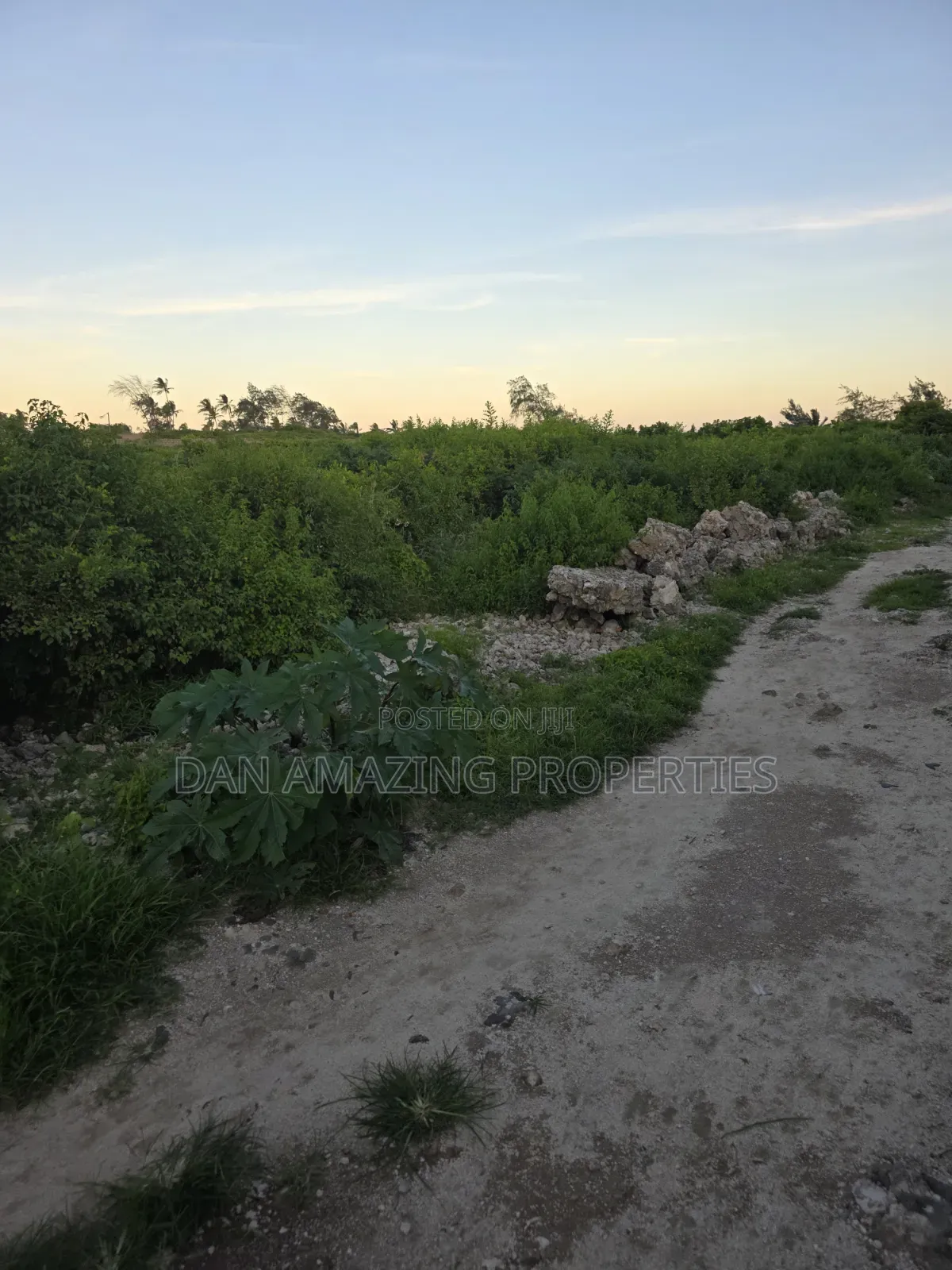 4 Acres Beach Front Watamu Paparemo for Sale as a Block