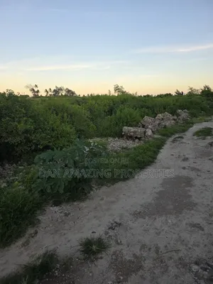 4 Acres Beach Front Watamu Paparemo for Sale as a Block
