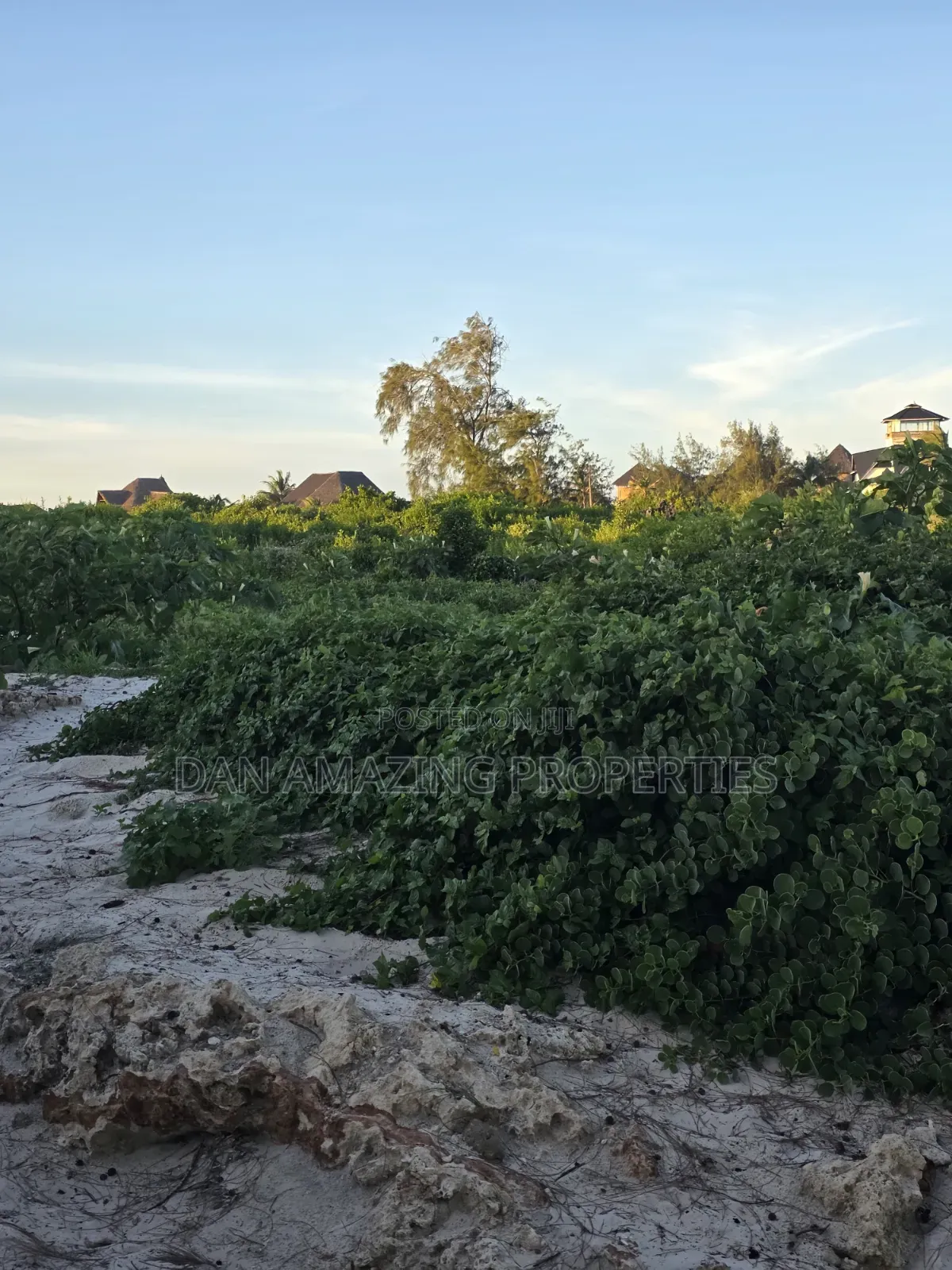 4 Acres Beach Front Watamu Paparemo for Sale as a Block