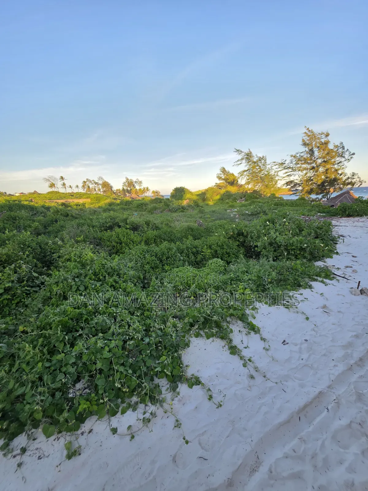 4 Acres Beach Front Watamu Paparemo for Sale as a Block