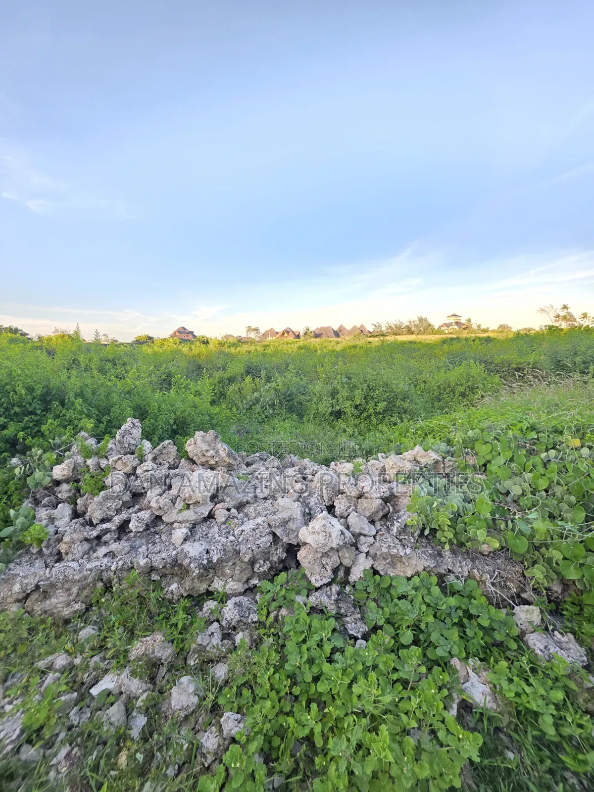 4 Acres Beach Front Watamu Paparemo for Sale as a Block