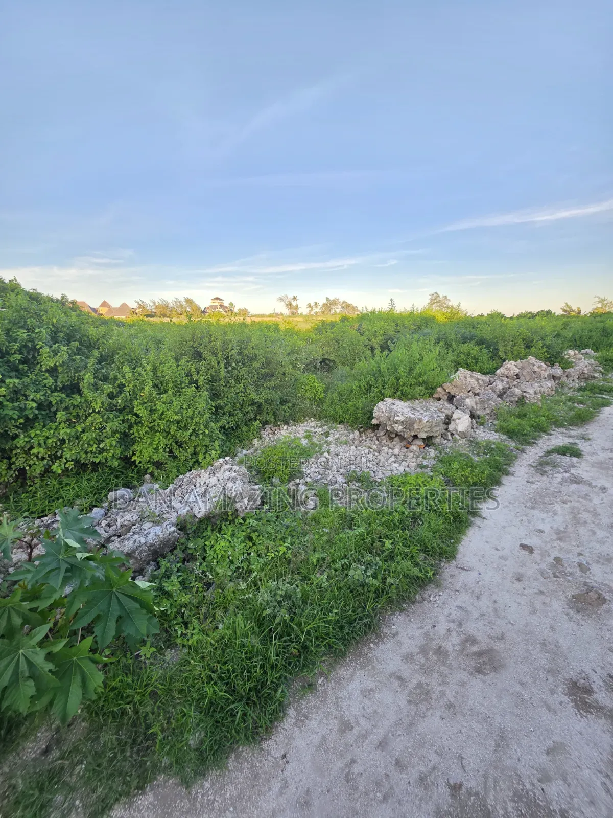 4 Acres Beach Front Watamu Paparemo for Sale as a Block