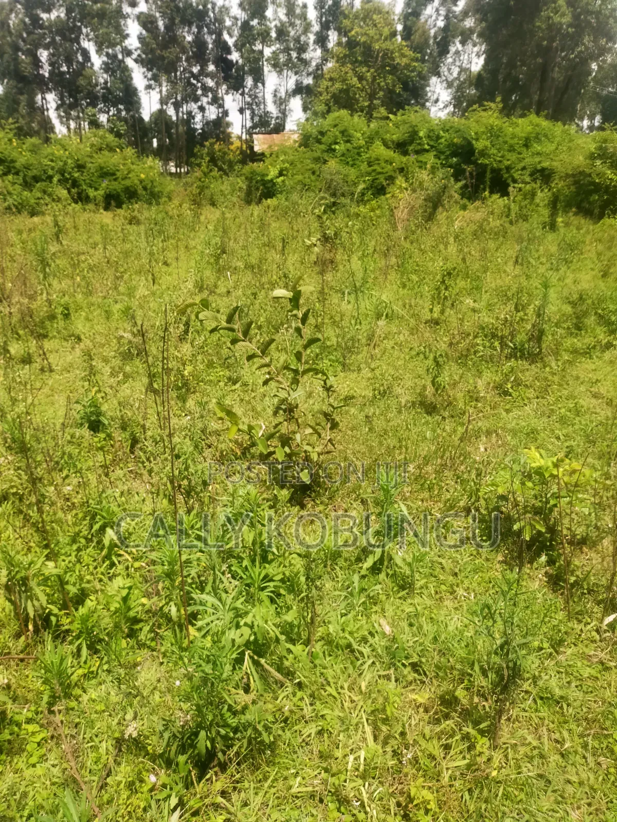 0.3ha Near Maseno Bible School
