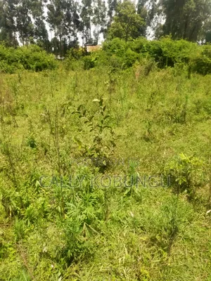 0.3ha Near Maseno Bible School