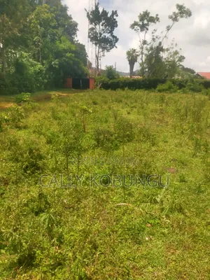 0.3ha Near Maseno Bible School