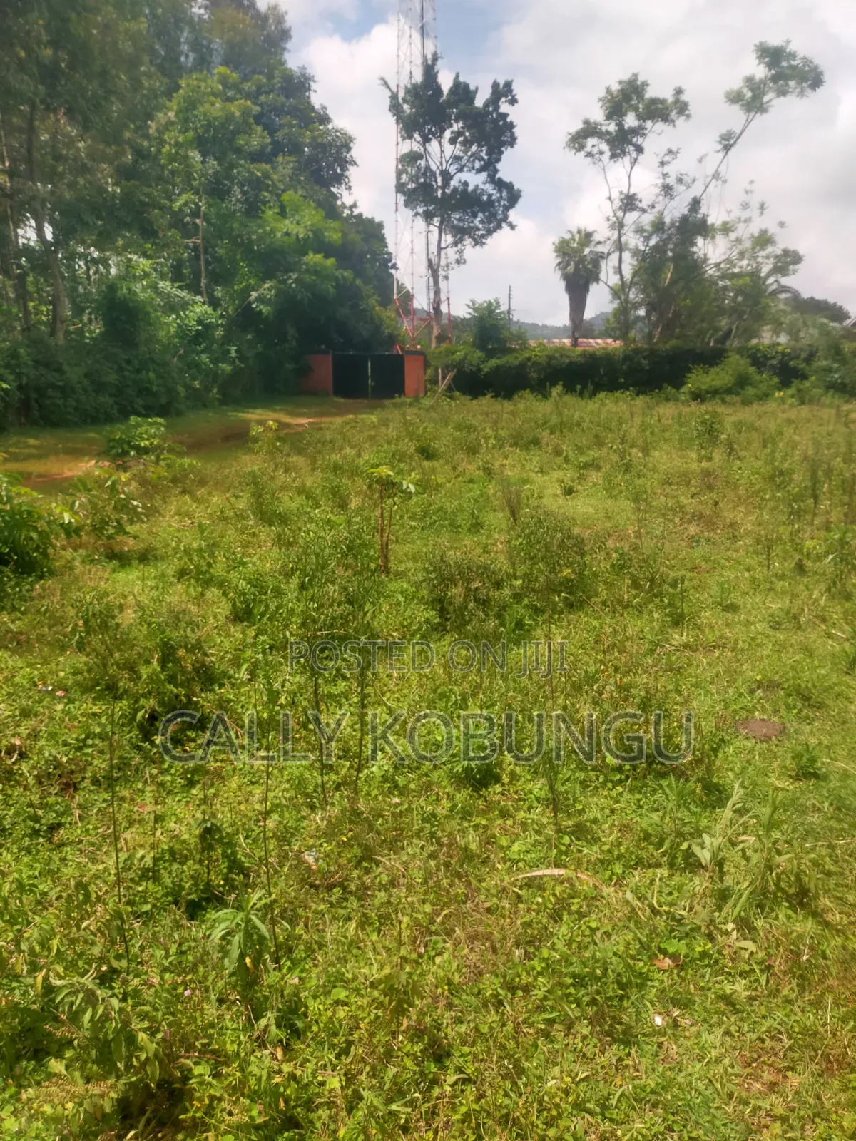 0.3ha Near Maseno Bible School