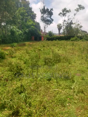0.3ha Near Maseno Bible School