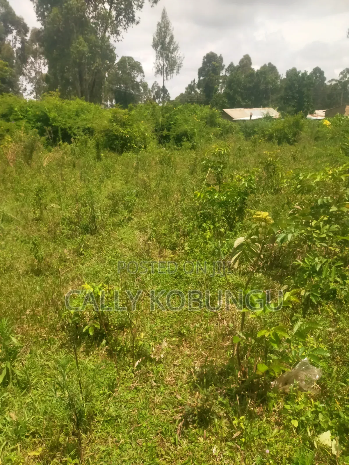 0.3ha Near Maseno Bible School