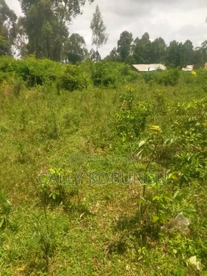 0.3ha Near Maseno Bible School