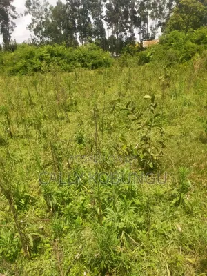 0.3ha Near Maseno Bible School